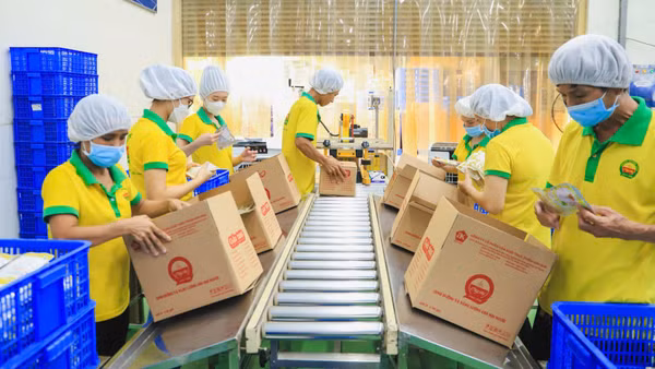Tái cấu trúc trong bối cảnh mới là yêu cầu tất yếu để doanh nghiệp nâng cao sức chống chịu và phát triển bền vững. (Ảnh: QUANG QUÝ)