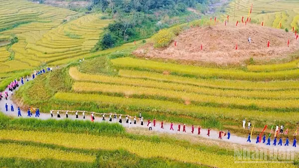 Nhiều nghi thức văn hóa đặc trưng của dân tộc Mường tại lễ hội. (Ảnh: Trần Hảo)