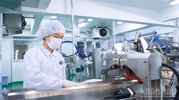Công nhân sản xuất trong nhà máy tại Khu chế xuất, Khu công nghiệp Thành phố Hồ Chí Minh. (Ảnh: QUANG QUÝ)