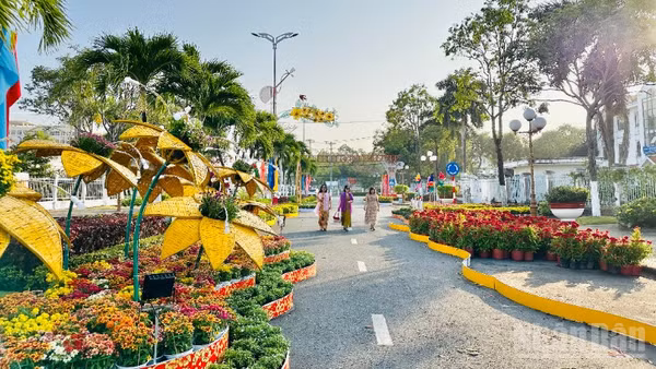 Một góc đường hoa Xuân Bính Ngọ 2026 của phường Bạc Liêu, tỉnh Cà Mau. (Ảnh: TRỌNG DUY)