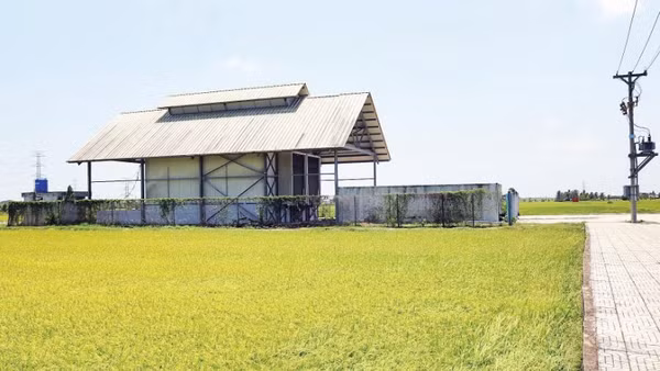Dự án kho lạnh thông minh đạt tiêu chuẩn châu Âu tại xã Bình Phú đã khánh thành hơn 4 năm vẫn chưa đưa vào khai thác sử dụng.