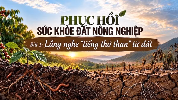 Bài 1: Lắng nghe "tiếng thở than" từ đất