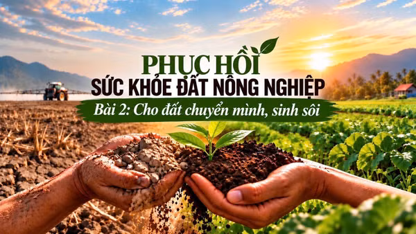 Bài 2: Cho đất chuyển mình, sinh sôi