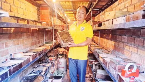 Anh Trương Nhật Trường kiểm tra đàn ong dú nuôi tại trại (Ảnh NVCC)