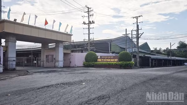 Công ty Nam Việt Bình Phú bị xử phạt hành chính 320 triệu đồng.