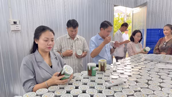 Đoàn công tác Ủy ban nhân dân phường Bình Đông tìm hiểu các sản phẩm nông sản tại tỉnh Vĩnh Long. 