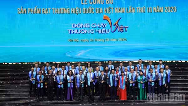 Danh hiệu ghi nhận những kết quả của Hãng trong nâng cao chất lượng dịch vụ, mở rộng mạng bay và phát triển thương hiệu trên thị trường quốc tế. (Ảnh: THẾ SƠN)