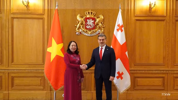 Phó Chủ tịch nước Võ Thị Ánh Xuân hội kiến Tổng thống Georgia Mikheil Kavelashvili, tại thủ đô Tbilisi, ngày 13/10/2026. (Ảnh: TTXVN)