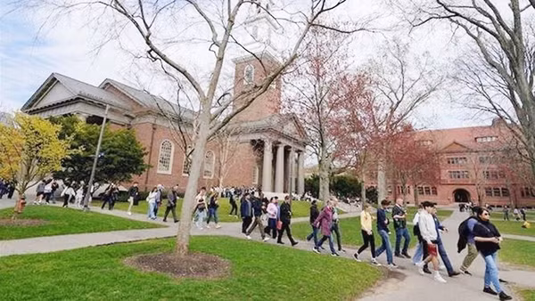 Sinh viên trong khuôn viên Trường Harvard. Ảnh: REUTERS