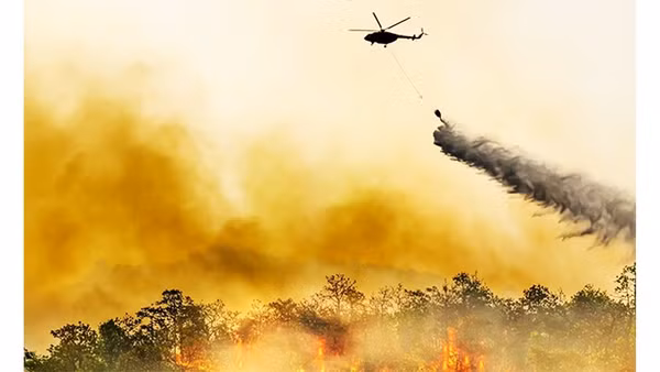 Hiện tượng siêu El Nino gây khô hạn và cháy rừng tại Brazil. Ảnh: FUTURA SCIENCES
