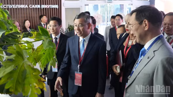 Bộ trưởng Ngô Văn Tuấn tại Diễn đàn Kinh tế phương Đông năm 2026. (Ảnh: THANH THỂ)