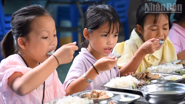 Khẩu phần ăn học đường cần được bảo đảm dinh dưỡng nhằm phát triển toàn diện về thể chất và trí tuệ. 