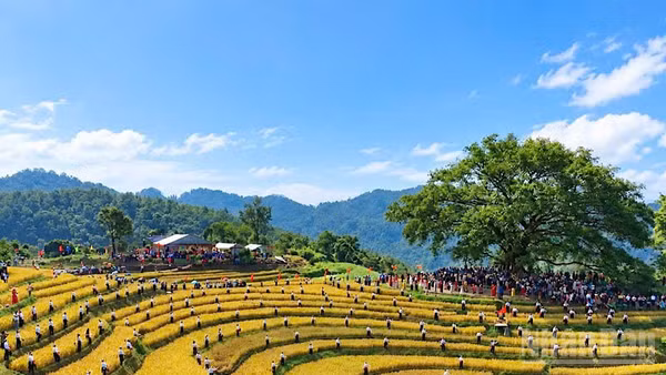 Ngày hội thu hút đông đảo nhân dân các dân tộc trong và ngoài tỉnh Phú Thọ tham gia.