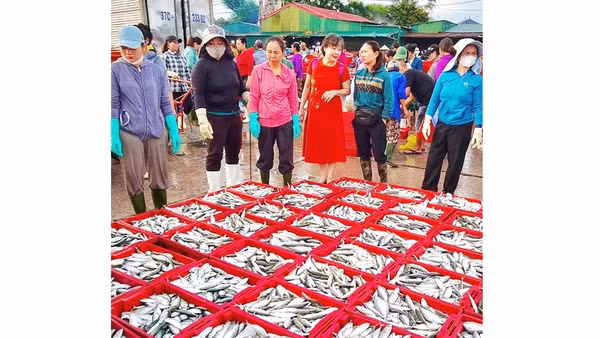 Theo dự thảo Luật An toàn thực phẩm (sửa đổi), quản lý an toàn thực phẩm phải gắn với một đầu mối rõ ràng. 