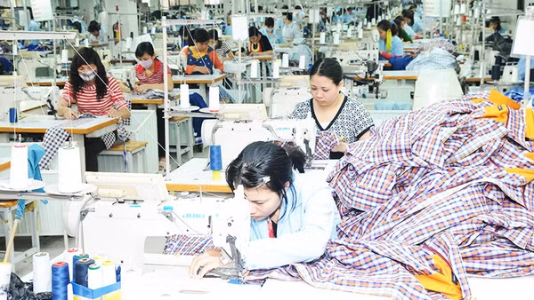 Ấn Độ có khả năng cung cấp nguồn nguyên phụ liệu lớn cho ngành dệt may, giúp doanh nghiệp đa dạng hóa nguồn cung. Ảnh: NAM HẢI