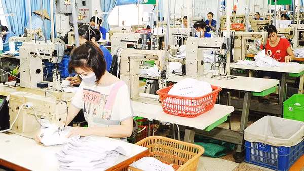 Doanh nghiệp cần nắm bắt tiêu chuẩn của từng thị trường với yêu cầu cụ thể đối với sản phẩm của mình. Ảnh: NGUYỆT ANH