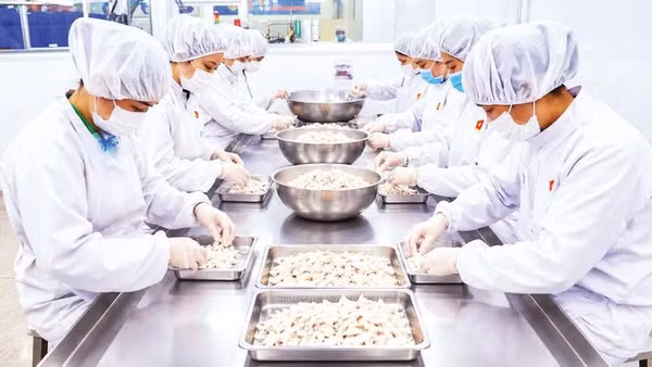 Công nhân sản xuất thực phẩm tại Công ty cổ phần sản xuất thực phẩm AK Food.