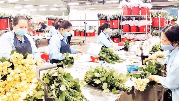 Trung tâm giao dịch hoa Đà Lạt sẽ được xây dựng từ nguồn vốn vay ODA và nguồn đối ứng địa phương (Ảnh MAI VĂN BẢO)