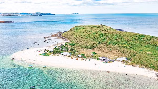 Cảnh quan trên cạn của Hòn Chùa là sự pha trộn hài hòa giữa thảm thực vật hoang dã, rậm rạp và bờ cát trắng mịn thoai thoải.