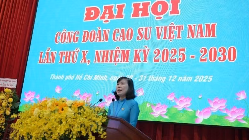 h1-dai-hoi-cao-su.jpg