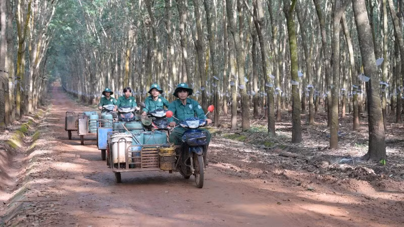 h5-cs-viet-lao-4352.jpg