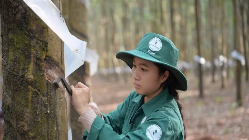 h3-cs-viet-lao-855.jpg