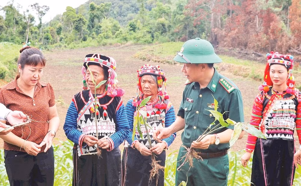 Đại diện Ban Chỉ huy Bộ đội Biên phòng tỉnh Điện Biên cùng lãnh đạo Ủy ban nhân dân xã Sín Thầu, hướng dẫn người dân bản Tả Ló San cách trồng cây sa nhân tím. 