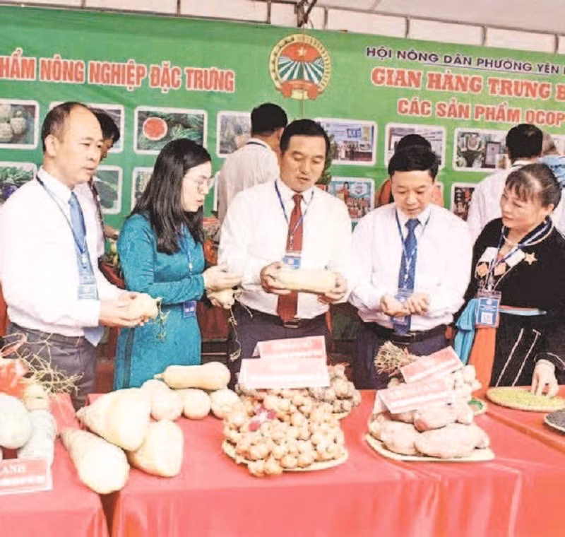 Lãnh đạo Hội Nông dân tỉnh thăm gian hàng trưng bày sản phẩm nông nghiệp.