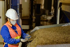 Việt Nam là nhà cung cấp cà-phê lớn thứ hai cho thị trường Nhật Bản. 