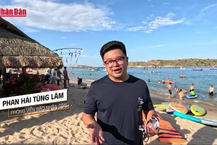 [Video] Bí ẩn "tường thành cổ" dưới lòng biển Gia Lai 