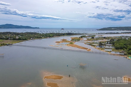 [Ảnh] Cầu gỗ Ông Cọp: Công trình mộc mạc, mê đắm của một miền thơ