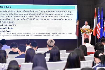 Các chuyên gia trình bày tham luận tại hội thảo.