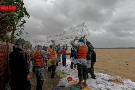 [Video] Đà Nẵng: Nỗ lực hoàn thành gia cố kè An Lương trước giờ bão 13 đổ bộ