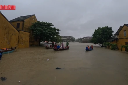 [Video] Du khách ấn tượng trước một Hội An kiên cường "sống chung với lũ"