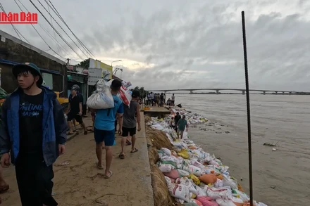 [Video] Giữ bờ kè An Lương - nhiệm vụ từ trái tim của hàng nghìn người dân Duy Nghĩa