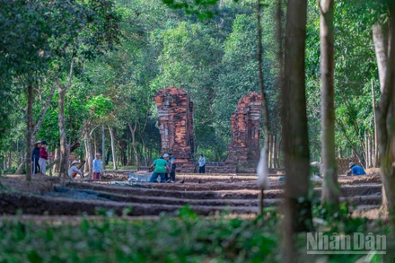 Toàn cảnh khu vực "con đường thiêng" vừa phát lộ tại Thánh địa Mỹ Sơn.