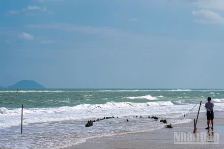 Hiện cát đã bồi lấp phần lớn lòng con tàu gỗ so với thời điểm cổ vật phát lộ.