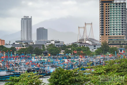 Âu thuyền Thọ Quang, Đà Nẵng - Nơi tàu thuyền tránh trú bão bình yên trong sáng 23/10.