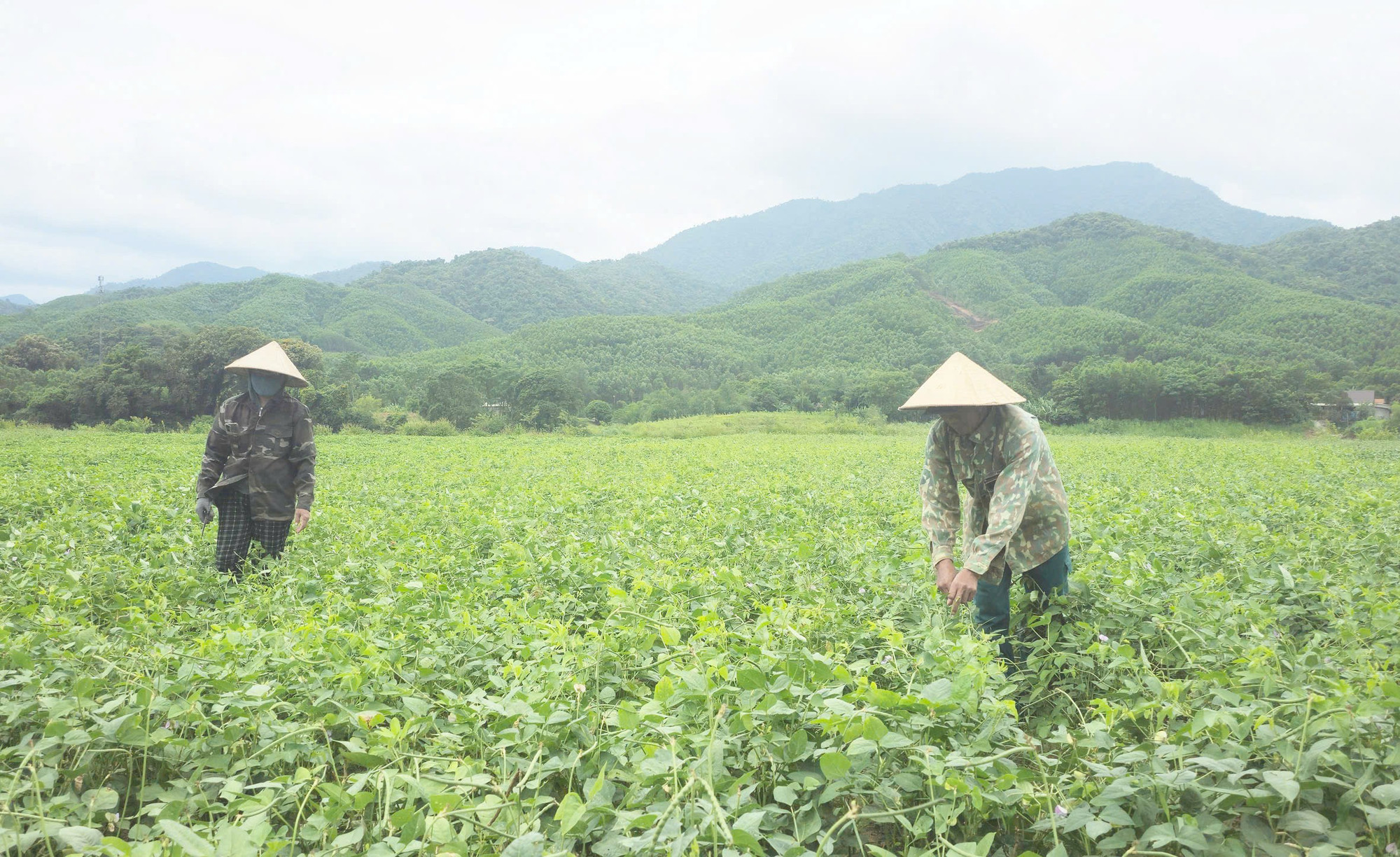Thung lũng Ba Lòng hôm nay. (Ảnh: Lâm Quang Huy) ong-phien-7.jpg