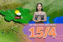 [Video] Dự báo thời tiết ngày 15/6/2025: Bắc Bộ và Trung Bộ nắng nóng 