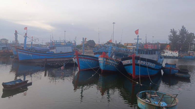 Tàu thuyền neo đậu tại cảng Quy Nhơn để tránh trú bão.