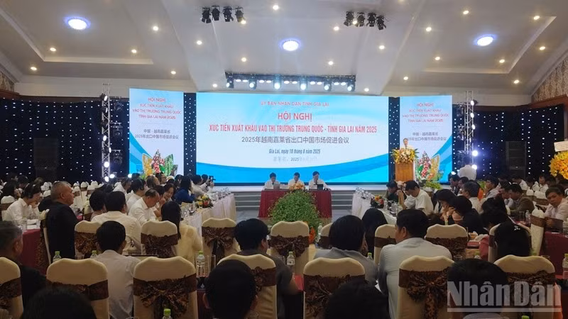 Toàn cảnh hội nghị.