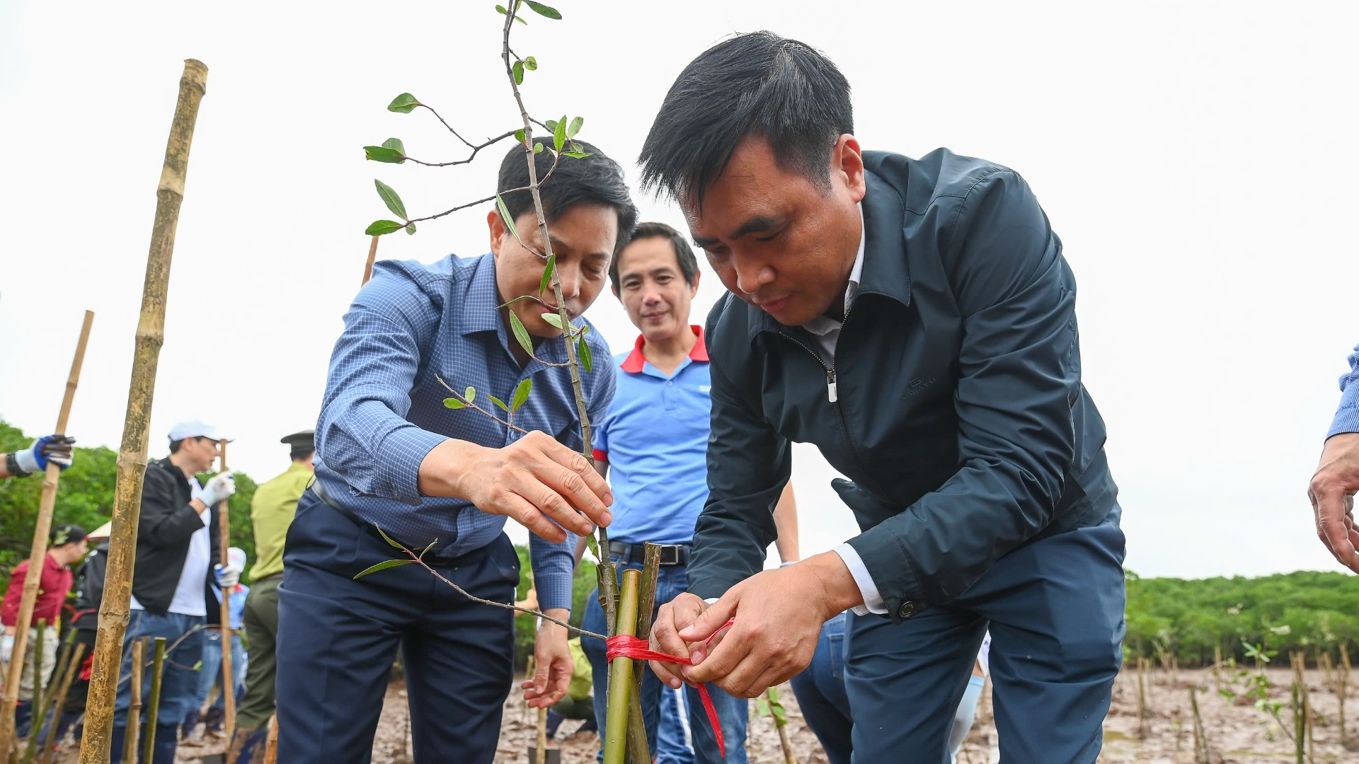 Thứ trưởng Bộ Nông nghiệp và Môi trường Nguyễn Quốc Trị trồng cây tại sự kiện.