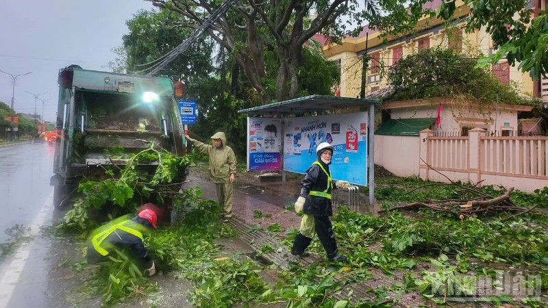 Lực lượng vệ sinh khẩn trương thu dọn cây đổ gãy sau bão. (Ảnh: NGÔ TUẤN) ndo_br_khac-phuc-2888.jpg