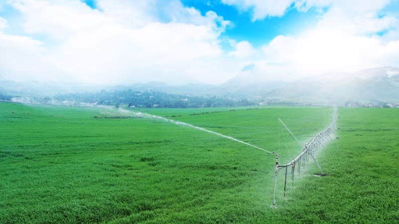 Công ty Cổ phần Thực phẩm sữa TH