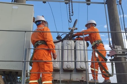 Cán bộ công nhân ngành điện thực hiện sửa chữa và bảo dưỡng điện.