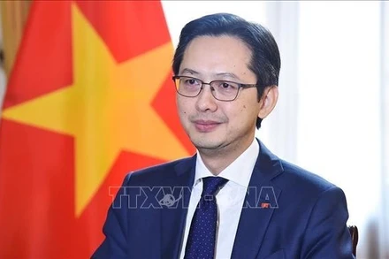 Đại sứ Đỗ Hùng Việt. (Ảnh: TTXVN)