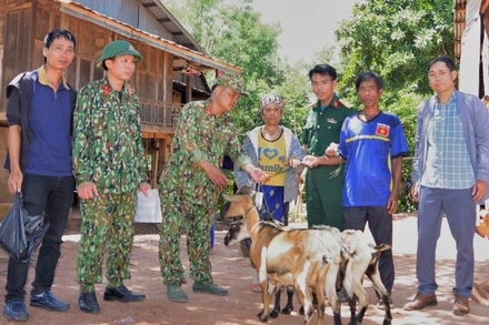 Tiến hành hỗ trợ cây, con giống cho nhân dân các xã trong vùng dự án phát triển kinh tế, xóa đói giảm nghèo.