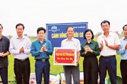 Lãnh đạo tỉnh Quảng Trị và Sở Nông nghiệp và Môi trường thăm mô hình liên kết sản xuất lúa hữu cơ tại xã Hiếu Giang.