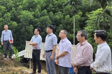 Phó Chủ tịch Ủy ban nhân dân tỉnh Quảng Ngãi Đỗ Tâm Hiển cùng lãnh đạo các sở, ngành chức năng kiểm tra khu vực có nguy cơ sạt lở núi tại thôn Ba Lang, xã Ba Vinh.